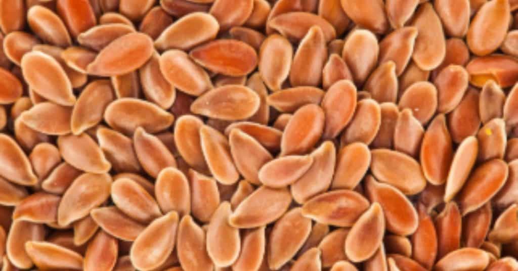 Lijnzaad en Gebroken Lijnzaad: Gezondheidsvoordelen en Gebruik