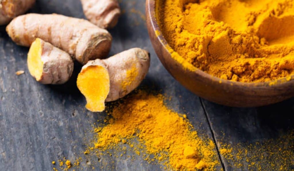 Curcuma Longa