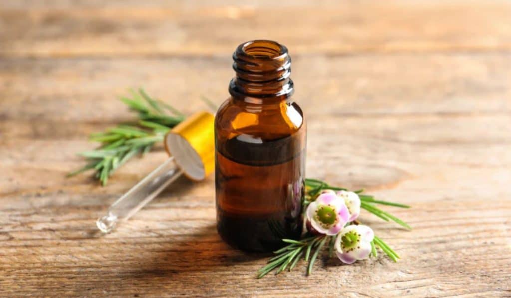 Tea Tree Olie
