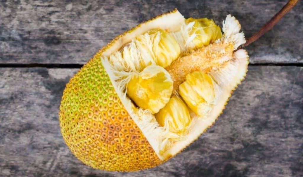 Jackfruit Recepten