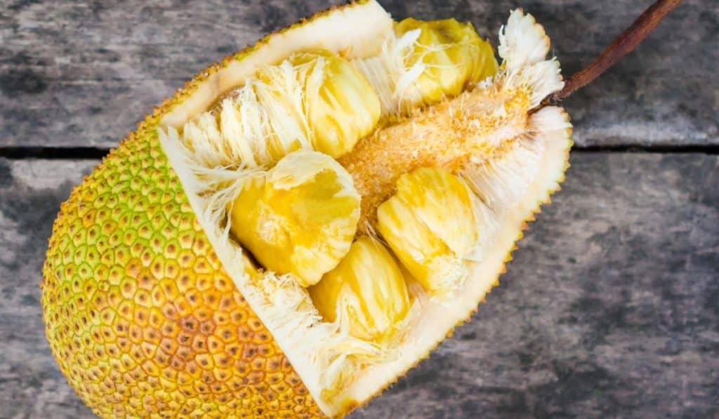 Jackfruit
