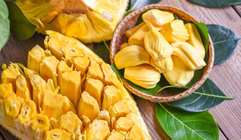 Jackfruit