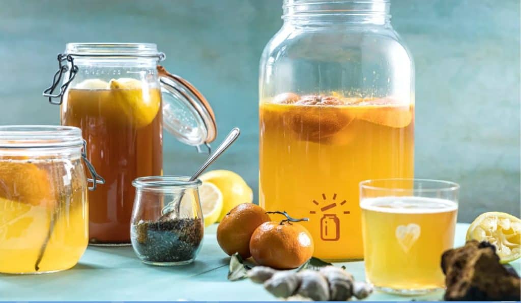 Kombucha Gezondheid