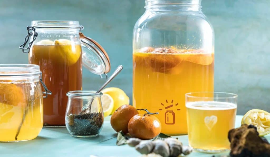 Kombucha