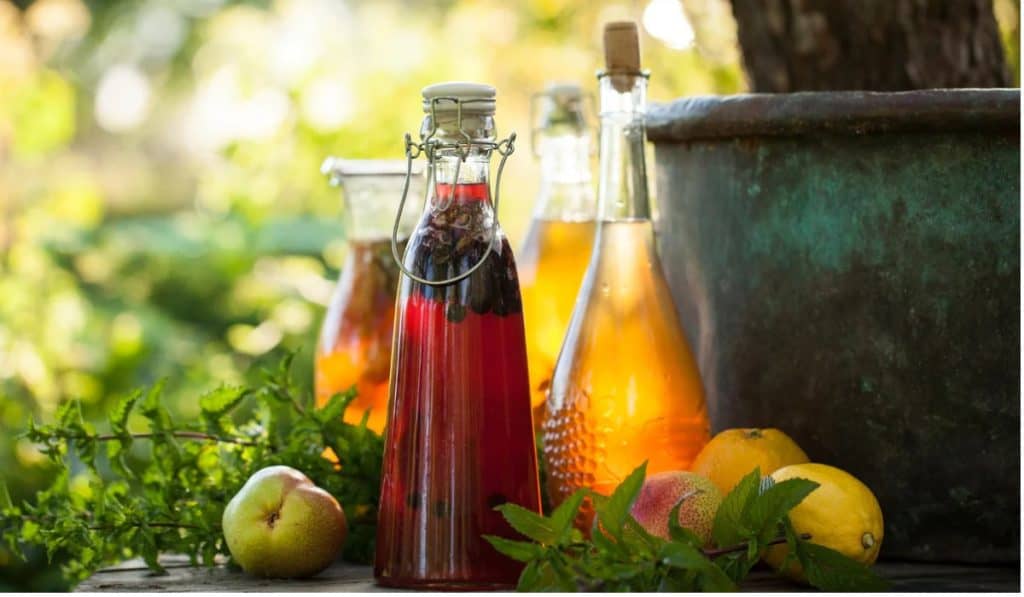 Kombucha maken voor beginners: alles wat je moet weten