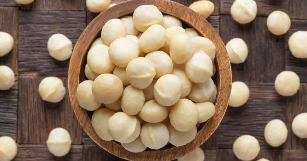 Macadamia Noten: Gezond of Giftig?