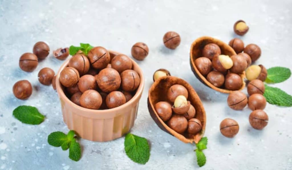 Macadamia Noten