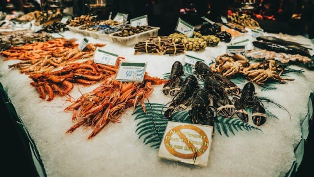 Ontdek de verrukkelijke wereld van vis en zeevruchten voor pescotariërs